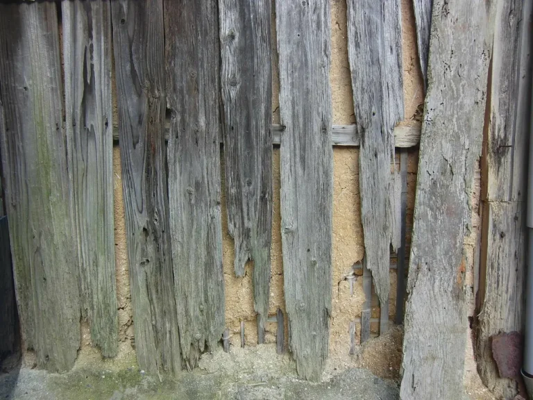 Home that Needs Siding Repair in Austin