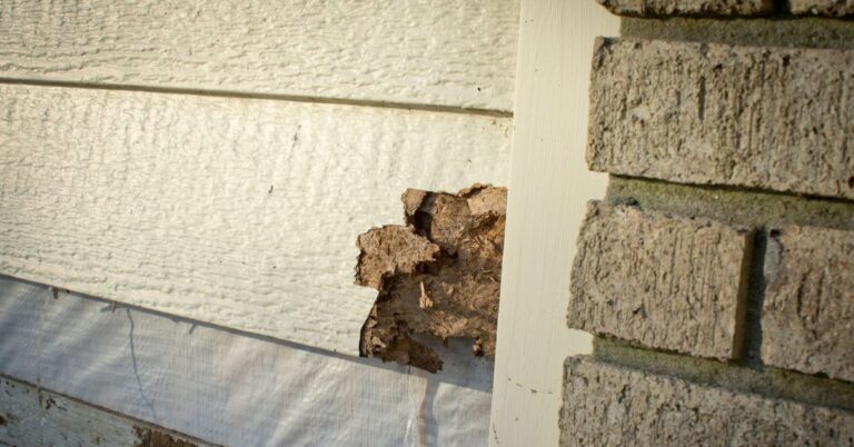 signs you need new siding