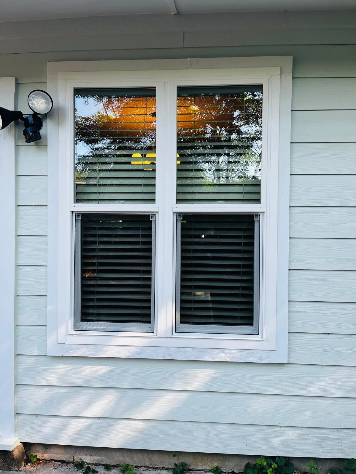 Pair of white trimmed windows in horizontal siding